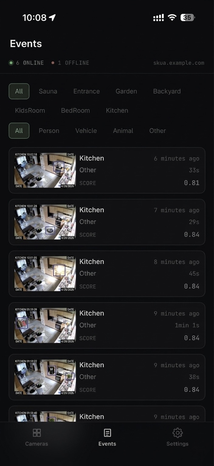 Real-time filterable events list with thumbnails, camera filters and detection-type filters.